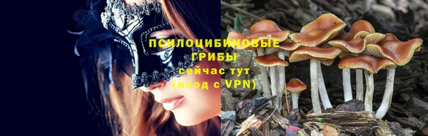 apvp Струнино