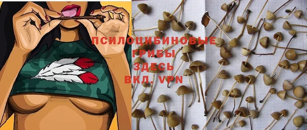 экстази Липки