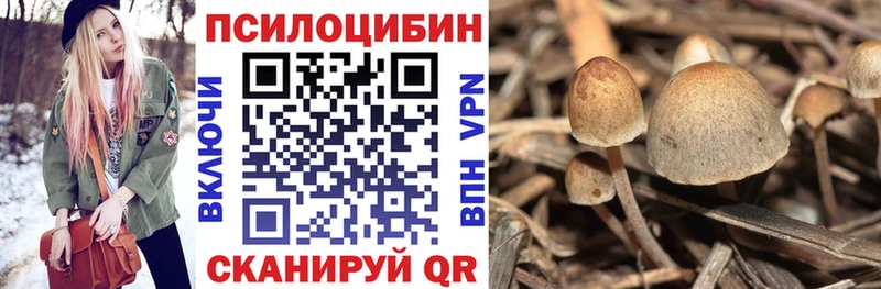 Псилоцибиновые грибы ЛСД  Чадан 