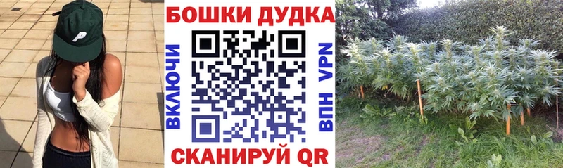 Марихуана ГИДРОПОН нарко площадка Telegram Чадан